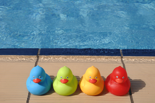 rubber ducks GysihyAu